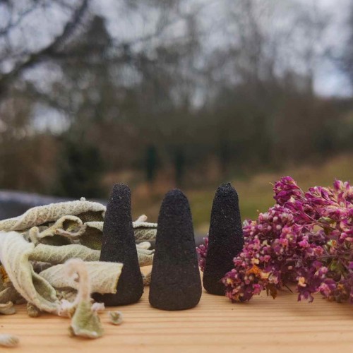 480808997_1801408624036603_333611414598249702_n2 480808997_1801408624036603_333611414598249702_n2