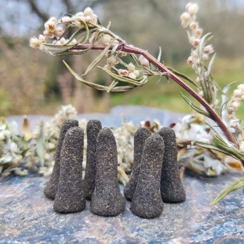 IMG_20241115_122027 IMG_20241115_122027